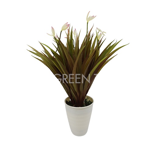 SMALL PLASTIC YUCCA / TANAMAN ARTIFICIAL / DAUN HIAS / DAUN PALSU