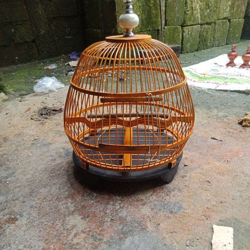 sangkar perkutut klasik Minion