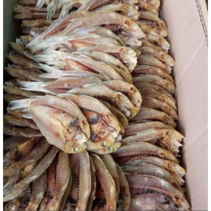

Ikan Asin Belah Atau Ikan Asin Kuniran Paling Top Dari Pulau Madura Kemasan 250 g