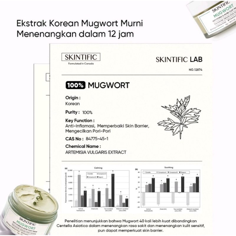 SKINTIFIC - Mugwort Anti Pores &amp; Acne Clay Mask Pore Clarifying Wask Off Pack