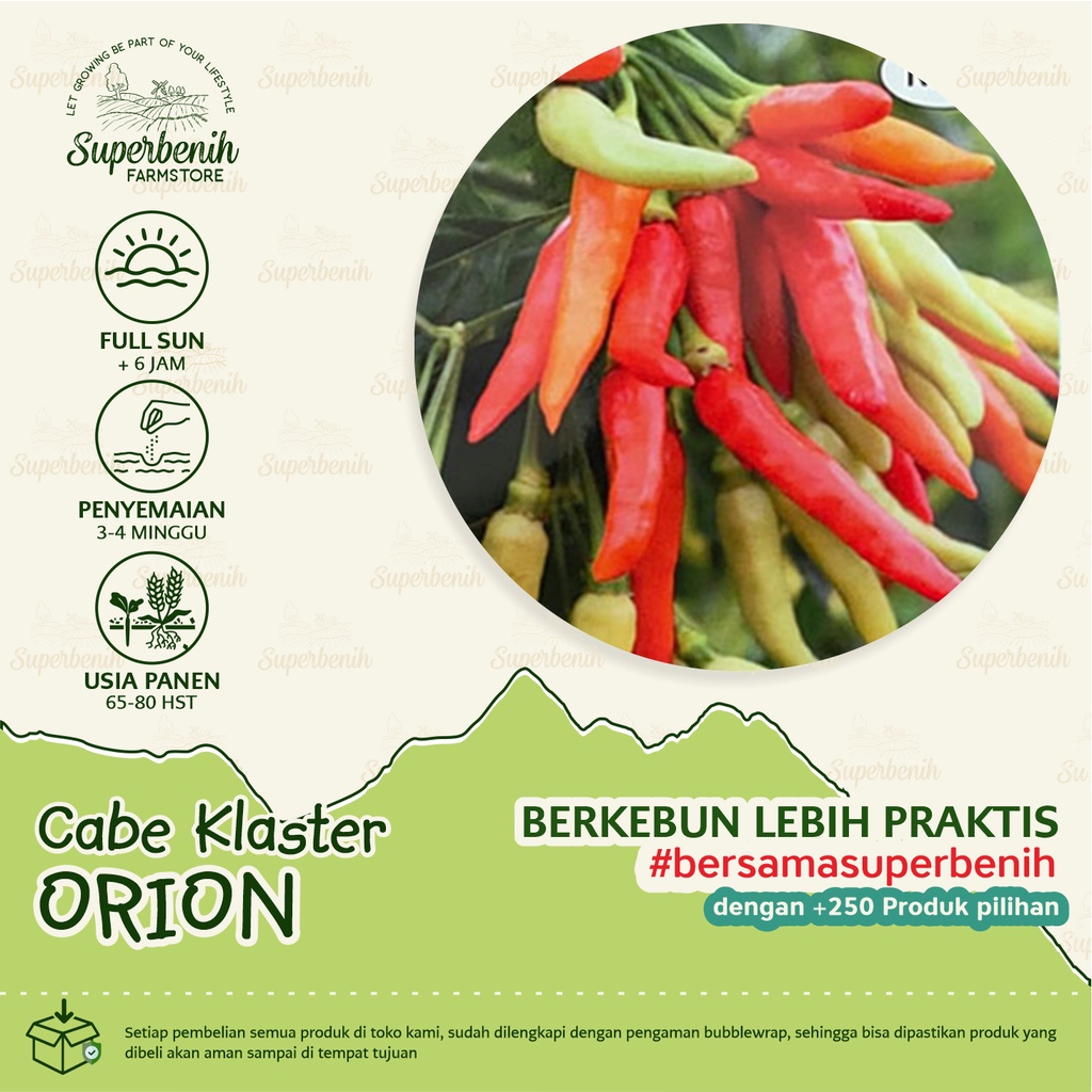 15 Biji - Benih cabe rawit ORION, buah bergerombol, unggul