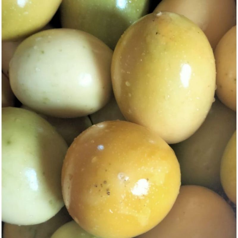 

buah markisa kuning segar fres 1kg