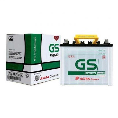 Aki GS Hybrid NS40 Carry APV Avanza Xenia Rush Terios Luxio Gran Max Mobil Basah Dry Charged Kering 