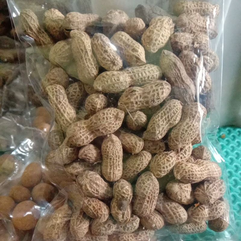 

kacang kulit