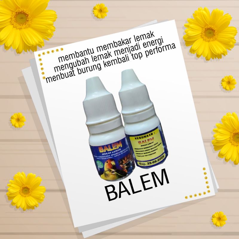 BALEM vitamin penggacor burung kenari lovebird muray rahasia sang juara mengatasi burung obesitas peluntur lemak bakar lemak ASLI BEST ONE