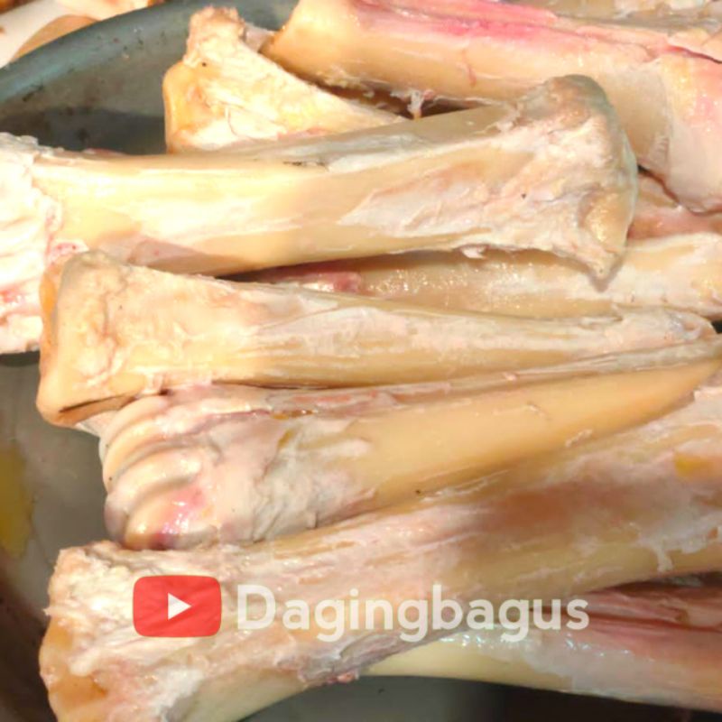 

Tulang Sumsum Kaki