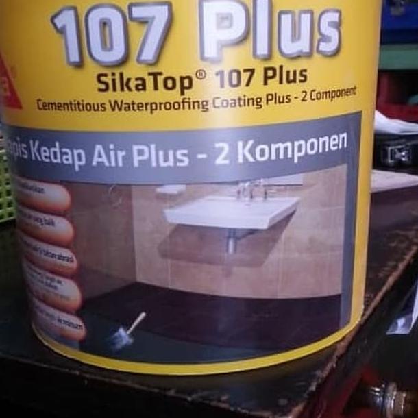 Sika Top 107 Plus (4 Kg)