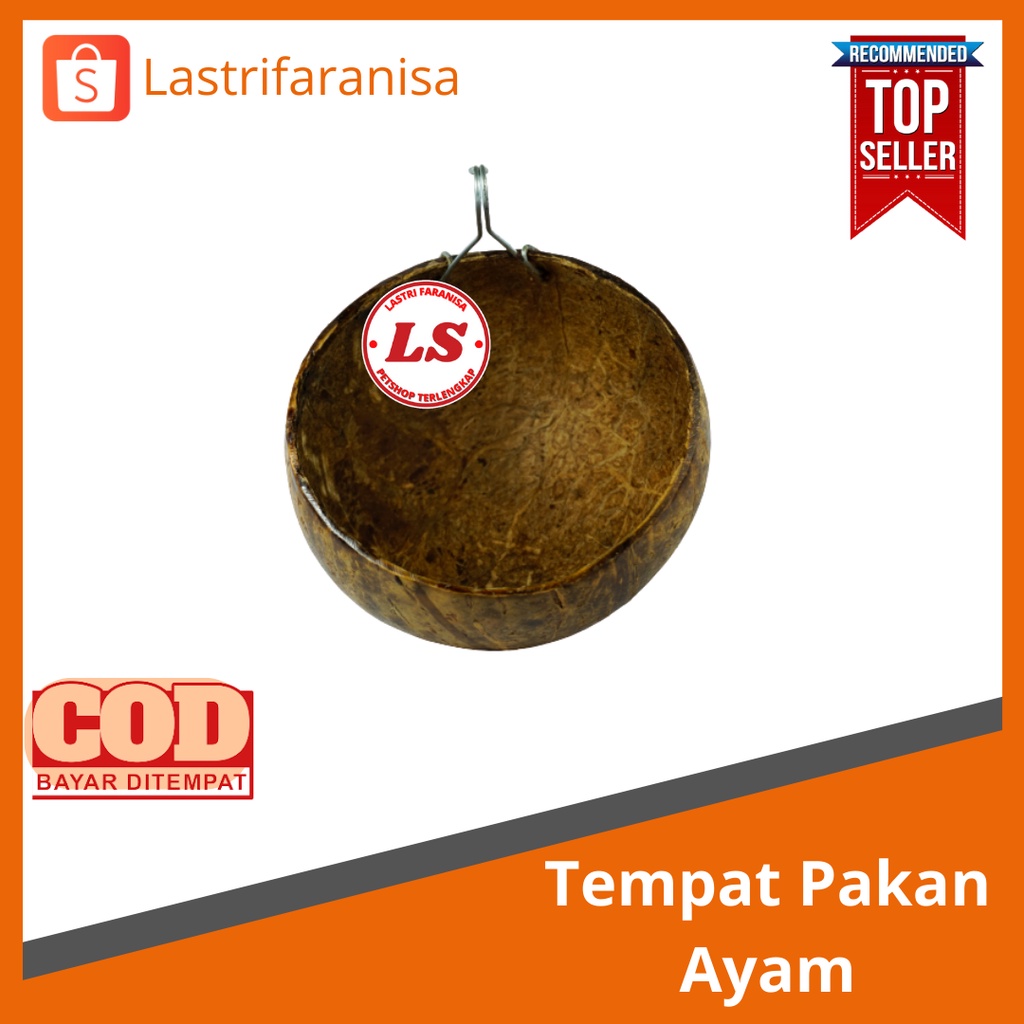 TEMPAT PAKAN BATOK Tempat Pakan Ayam Bahan Batok Kelapa