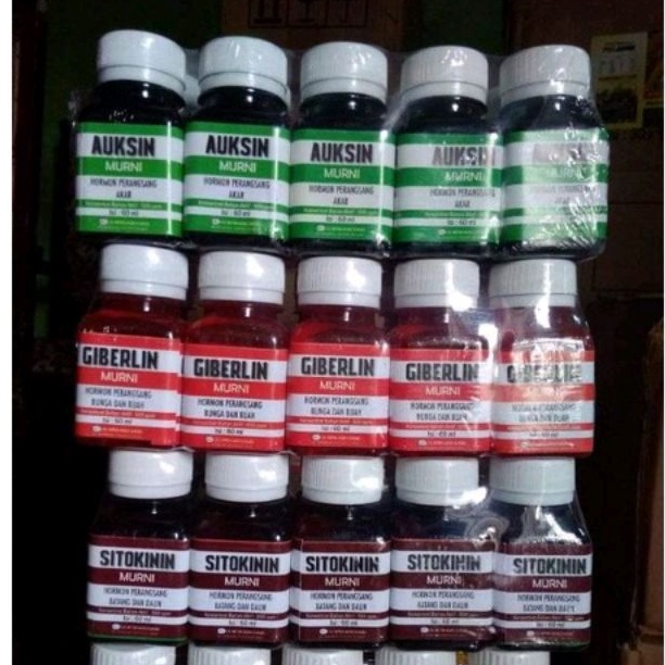 Auksin Giberlin Sitokinin 60ml