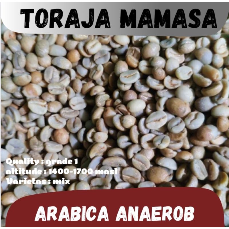 

biji kopi mentah ( green Bean ) Arabika Toraja Mamasa anaerob