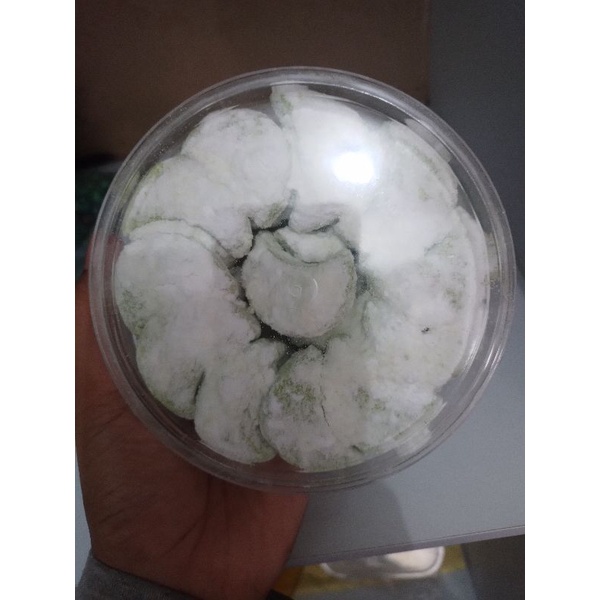 

PROMO !!! Putri salju Green Tea 250 gram