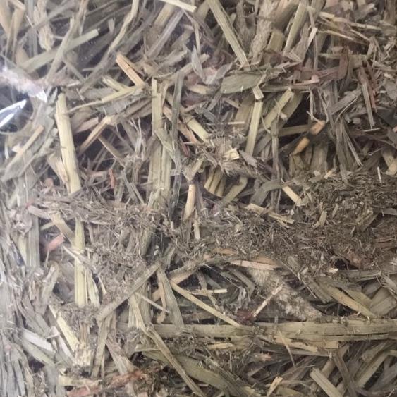 Repack No Brand Hay 2nd Version - 1 kg, Timothy 3rd cut