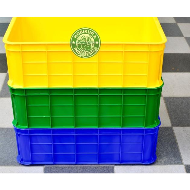 Kontainer Box / Kandang Kura - Kura Darat / Torto / Sulcata / Pardalis - Kuning
