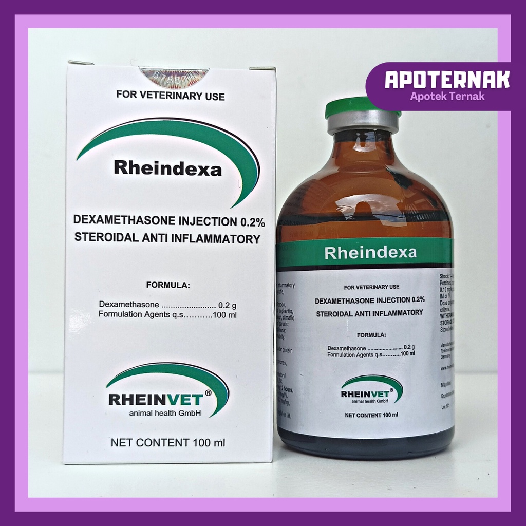 RHEINDEXA (Dexamethasone) OBAT BENGKAK DAN ALERGI HEWAN | Antiinflamasi Antiradang Antipiretik Analgesik Antialergi Antishock anti radang Dexa | Rheinvet Jerman