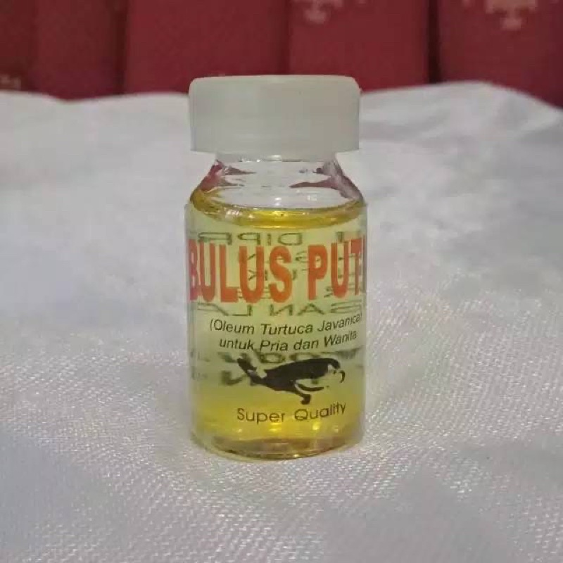 MINYAK BULUS ORIGINAL / MINYAK BULUS PUTIH ORIGINAL