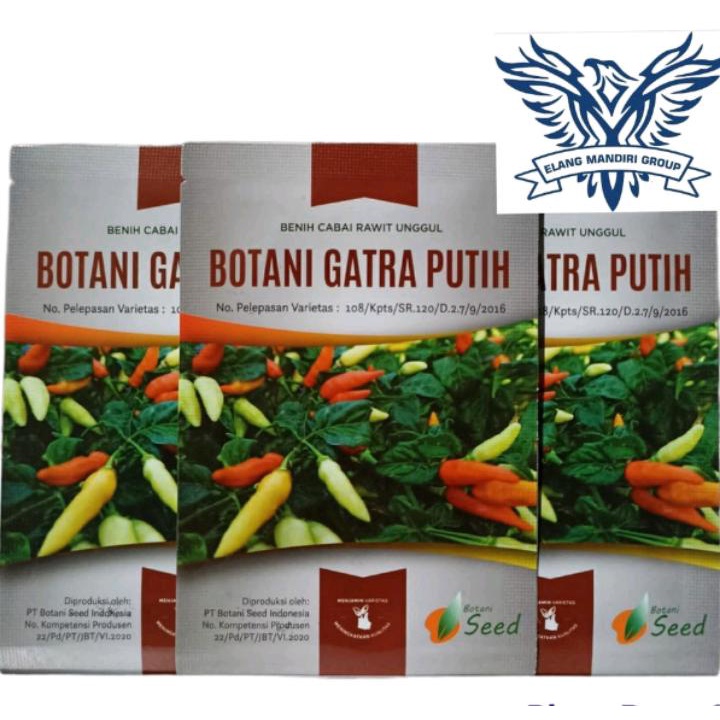 Benih Bibit Cabe cabai Gatra Putih 1 Gr 216 Butir Botani seed