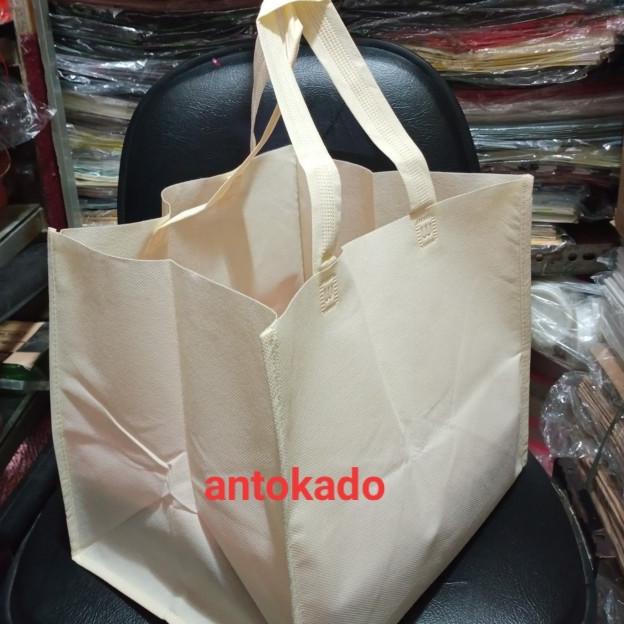 

tas kotak spunbond polos