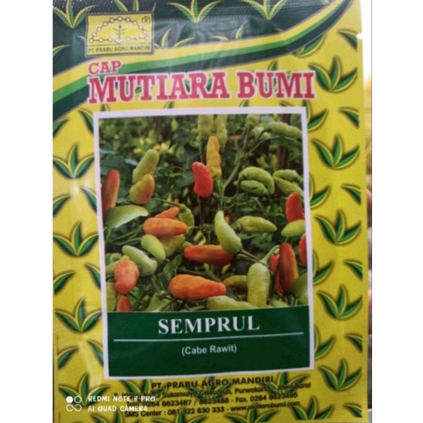 Benih Cabe Rawit SEMPRUL Cap Mutiara Bumi 10Gr