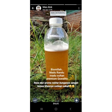 

Madu Hutan Sumatera Murni Randu