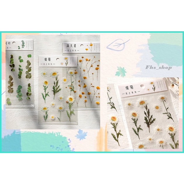 

Stiker Aesthetic Buku Diary Sticker Aesthetic Scrapbook Sticker Deco Stiker Lucu Stiker Jurnal Retro Flower Transparant 10.5 x 15 cm