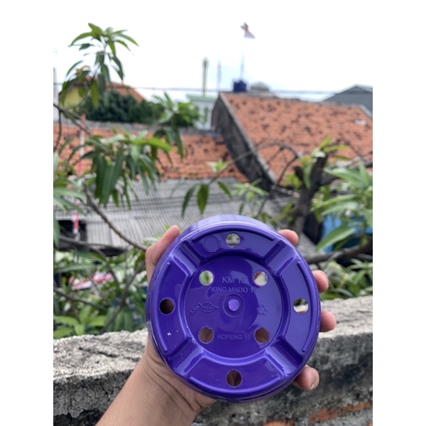 POT KING MADO 18 PUTIH WARNA WARNI Da 14,5 CM POT LUCU CANTIK MURAH