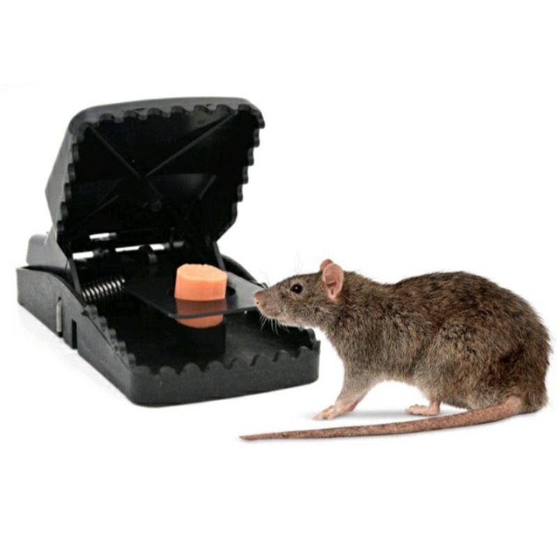 PERANGKAP TIKUS PVC / JEBAKAN TIKUS / AUTOMATIS MOUSE TRAP PEST CONTROL