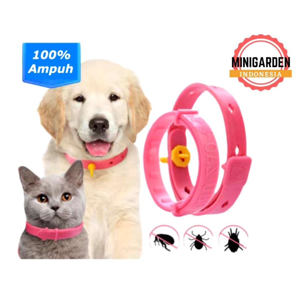 KALUNG KUCING ANTI KUTU DAN ANTI NYAMUK natural pest control pet collar anjing musang kelinci