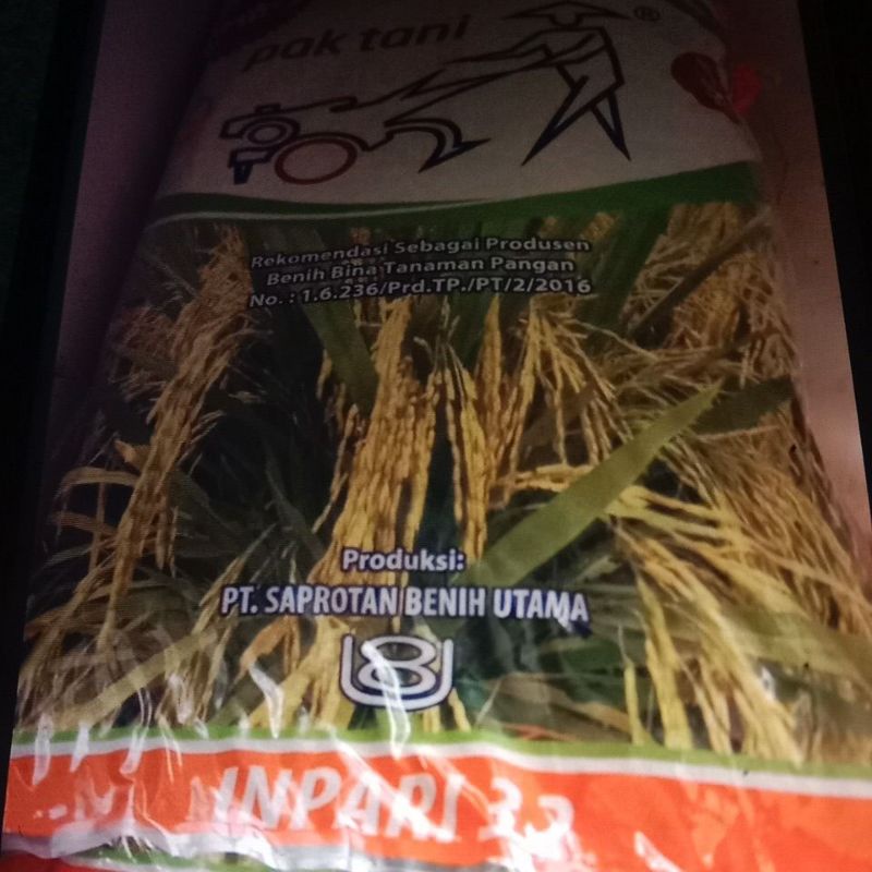 BENIH PADI INPARI 32