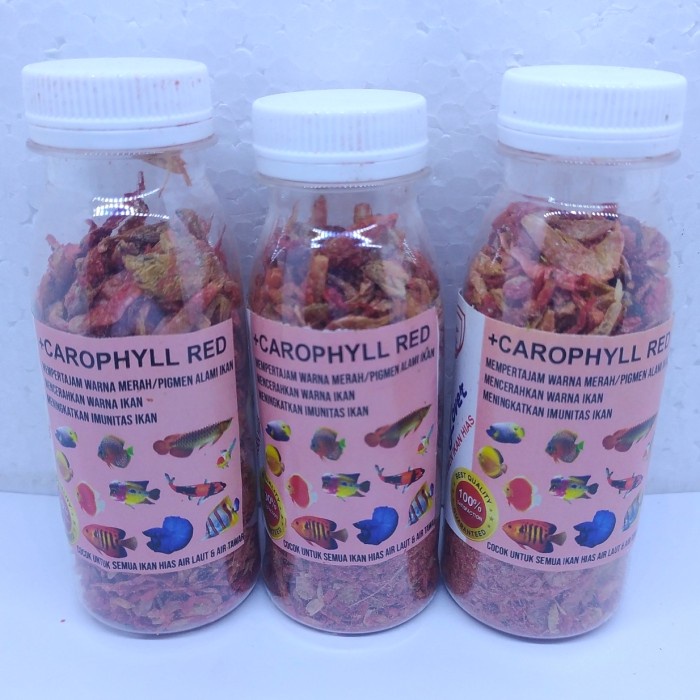 Udang Kering Red Spirulina Terbukti Mantab Buat Warna ikan Channa Dll