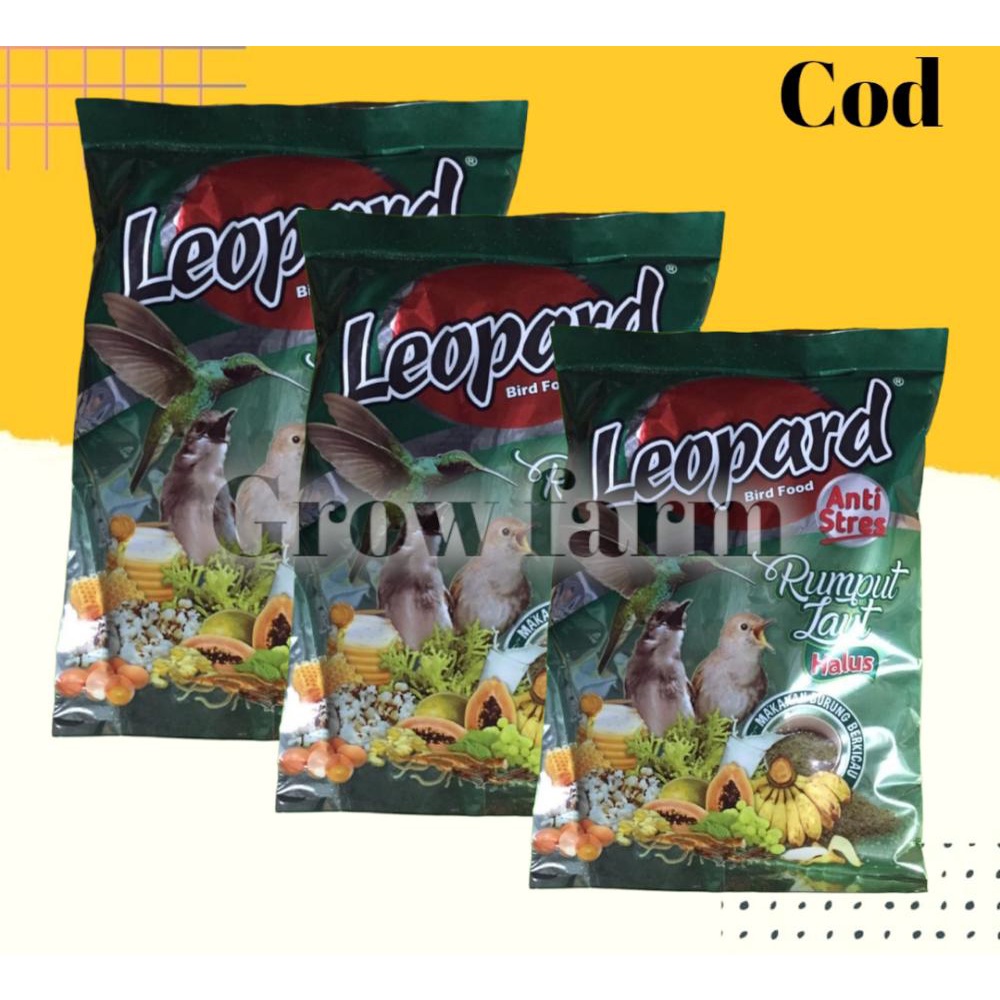 LEOPARD RUMPUT LAUT PUR VOER HALUS PAKAN BURUNG PLECI CIBLEK