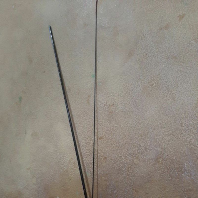 ruas tegek oregon rawit