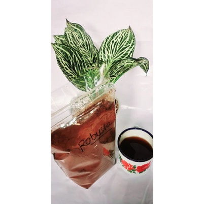 

kopi robusta