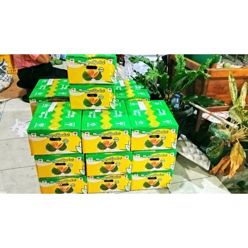 

mangga alpukat klonal21 perkardus(5kg)