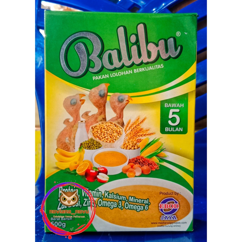 BALIBU PAKAN LOLOH BURUNG BERKICAU BERKUALITAS EBOD JAYA LOVEBIRD LOVE BIRD FALK PARKIT AUSTRALIA