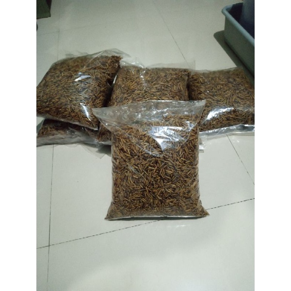 Maggot Kering 1kg Great A Dry Maggot Pakan Ikan Channa Louhan Arwana Burung Unggas dll