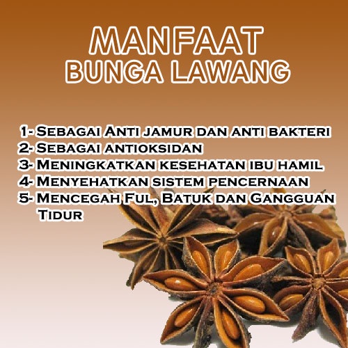 Bunga Lawang Kering Kembang Pekak Star Anise 100 Gram 1 /10 kg