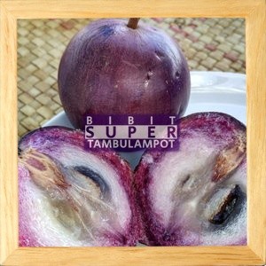 Bibit Tanaman Buah Kenitu Ungu Okulasi Stek Cangkok Unggul AA99