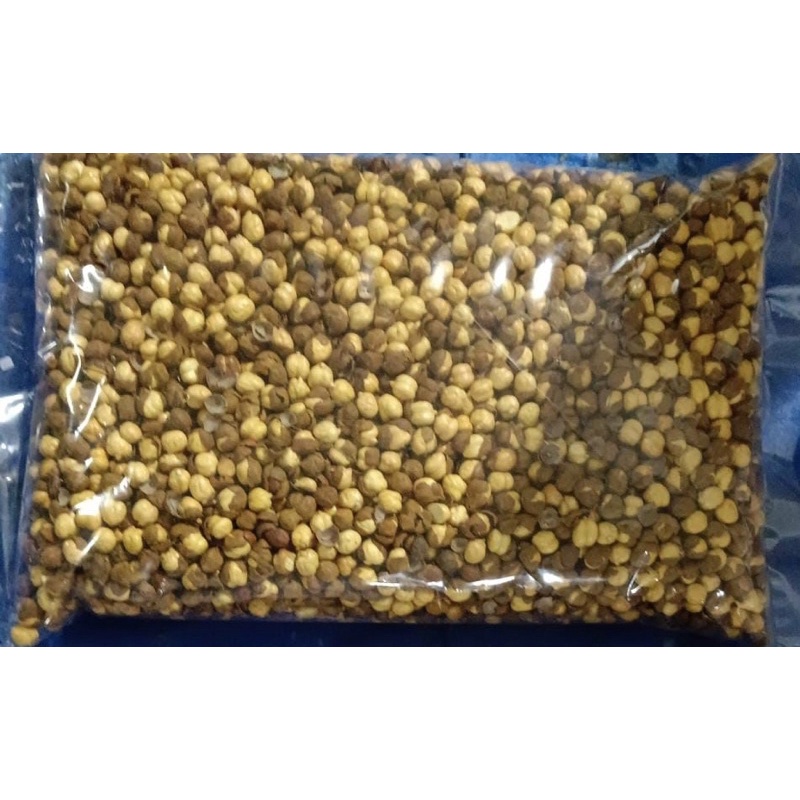 

kacang arab