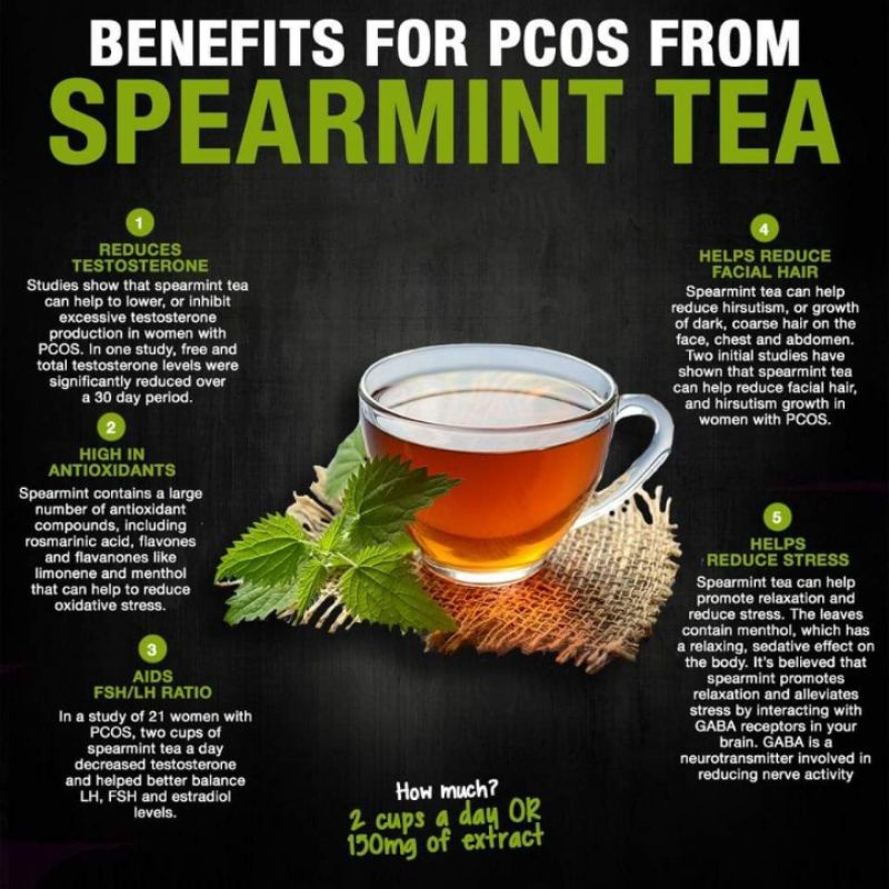 Spearmint With Vitex Fruit Herbal Tea Isi 30 Tea Bag