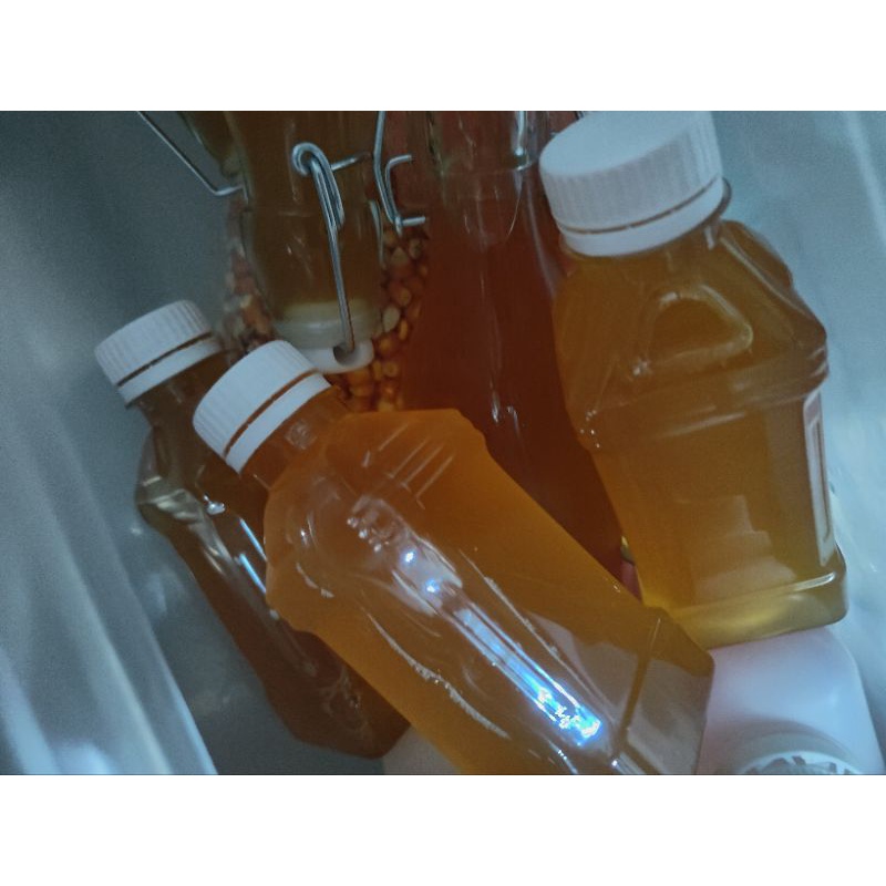 

Kombucha Tea (Black Tea) Original