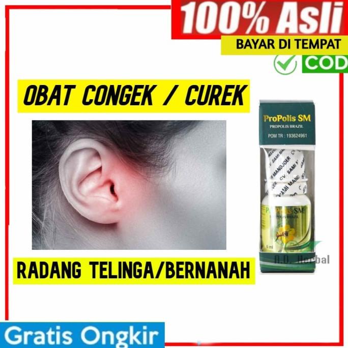 

Sale Obat congek - curek - congek telinga berair & bernanah propolis sm /OBAT TELINGA BERDENGUNG/OBAT TELINGA BERAIR/OBAT TELINGA TERSUMBAT/OBAT TELINGA BUDEG/OBAT TELINGA BERNANAH