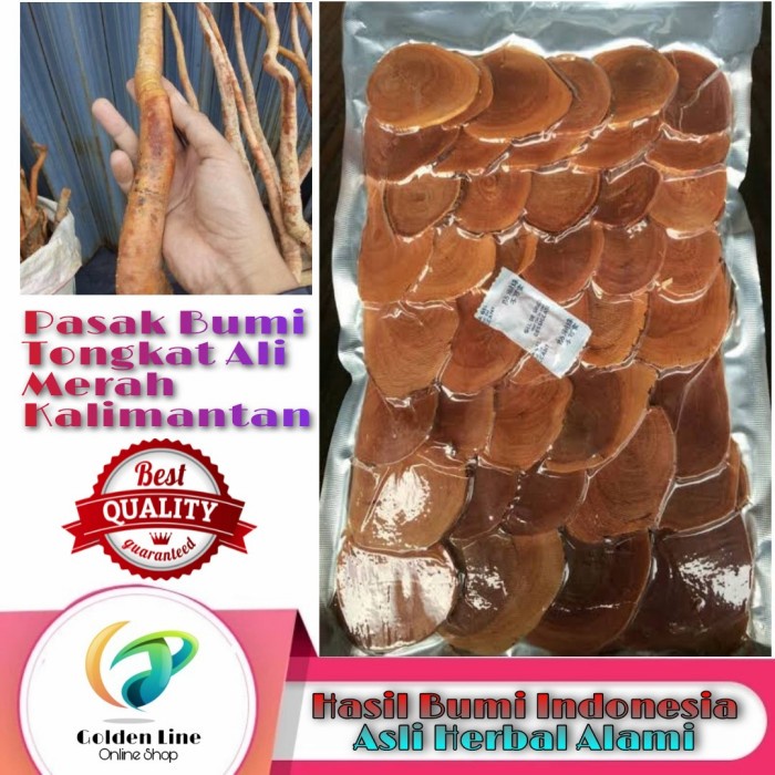 Tongkat Ali Merah Pasak Bumi Kalimantan