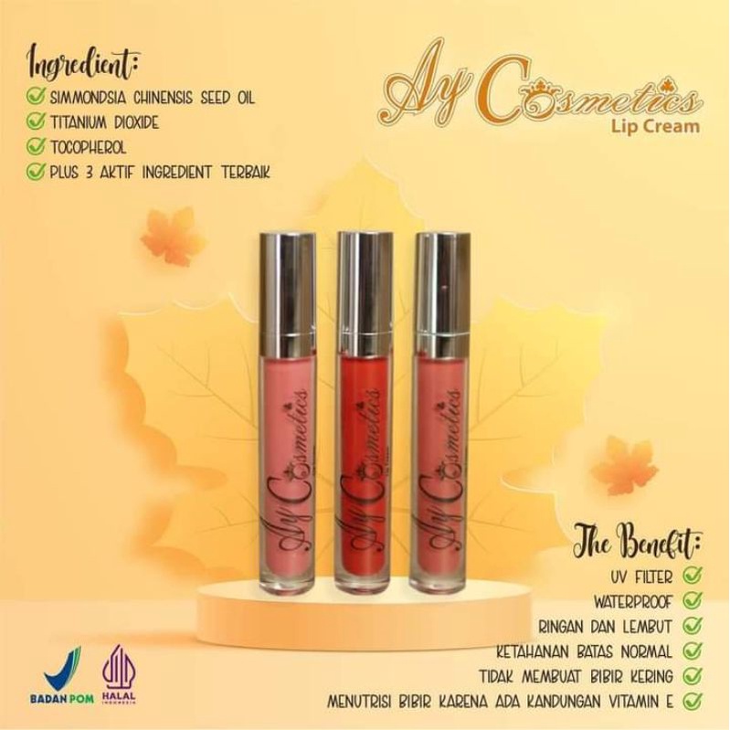 (COD) LIP CREAM/AY COSMETIC