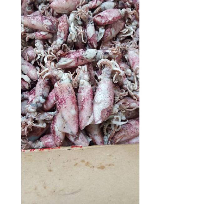 Cumi asin 1kg /cumi asin rebus/ikan asin cumi