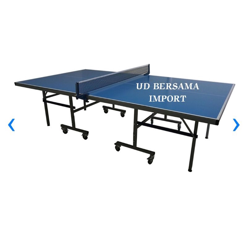 DOUBLE Fish Meja Tennis201d/Olahraga Tennis Meja/Table Tennis