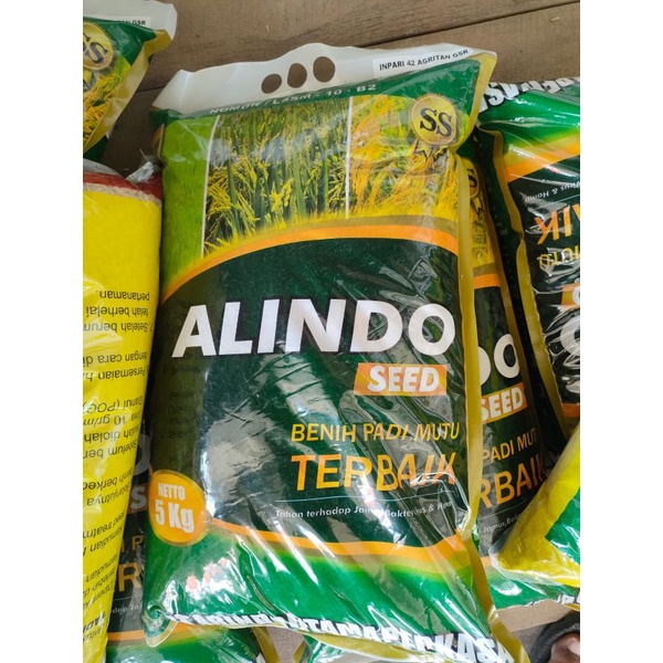 BENIH PADI INPARI 42 AGRITAN GSR