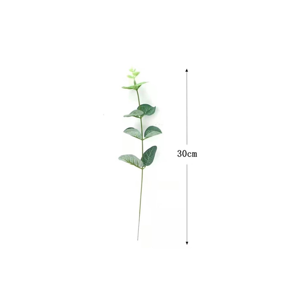 daun eucalyptus 4 Cabang daun dollar daun palsu daun artificial daun dolar daun uang