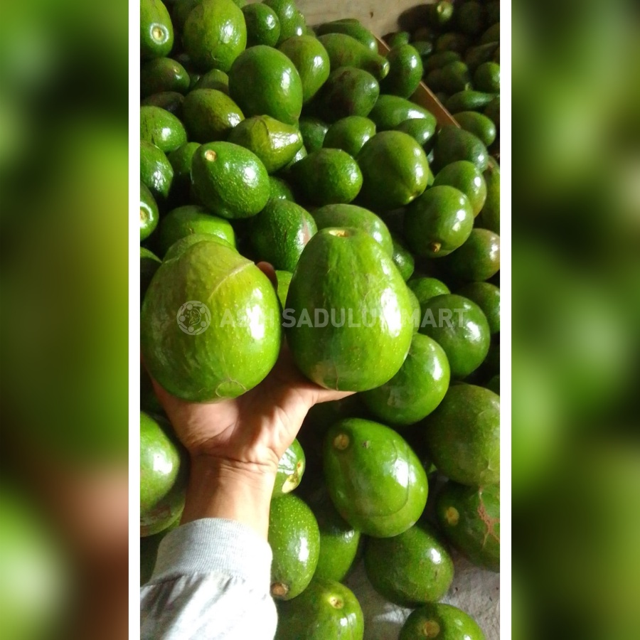 Alpukat Mentega 1kg Buah Segar Kota Bandung | Asih Sadulur Mart