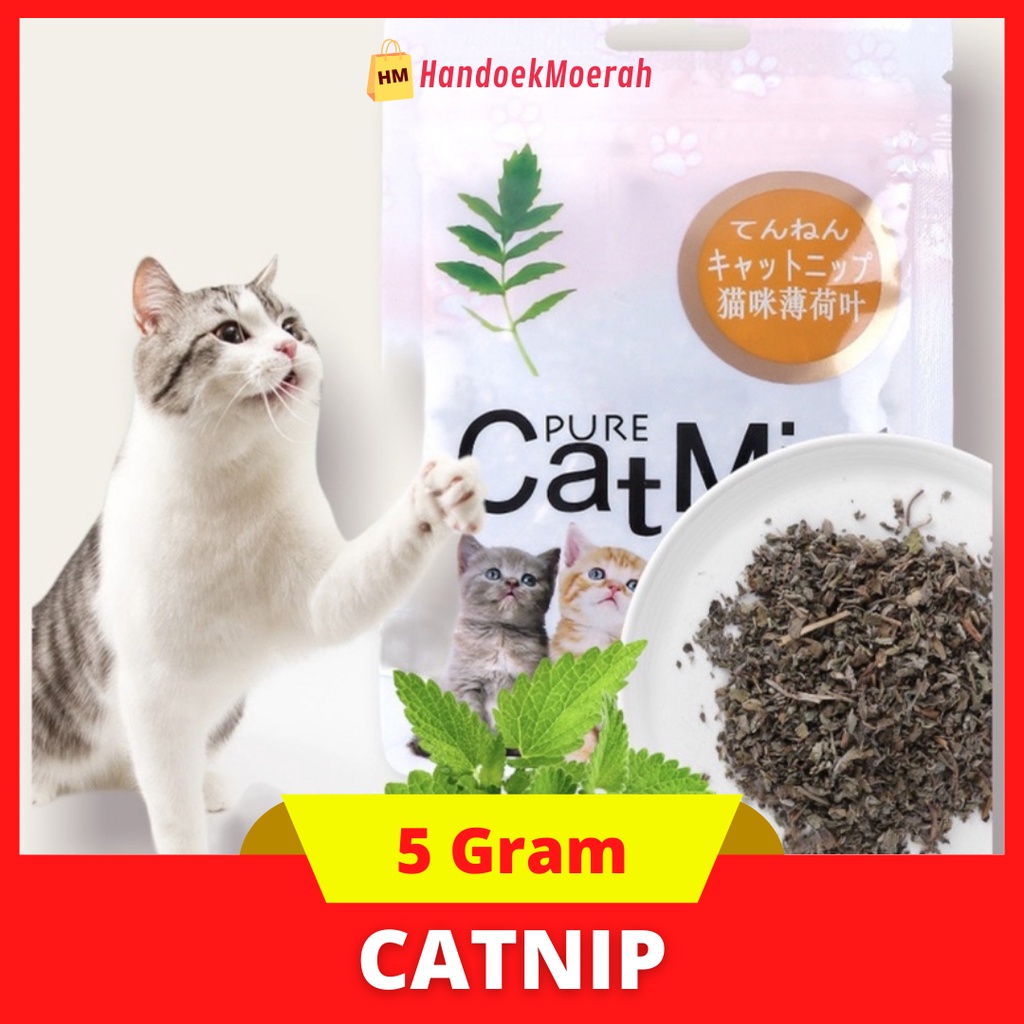 Cat Mint Kucing Powder 5 gr / Catnip Kucing / Pure MInt