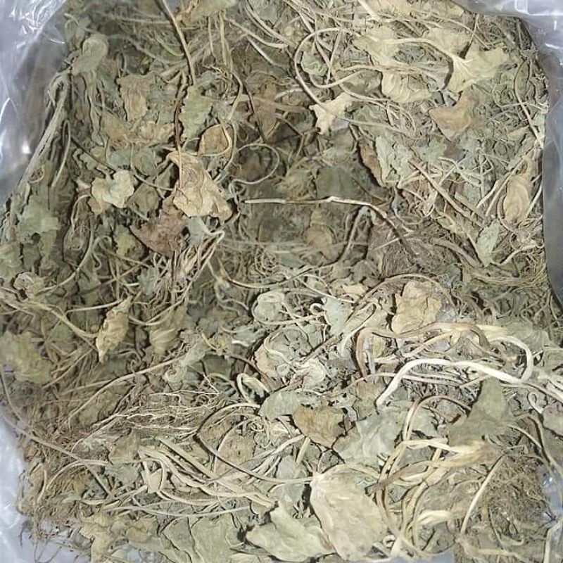 

Daun Pegagan Kering/Antanan Kering (30 Gram)